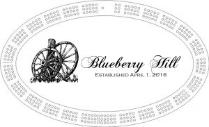 blueberry-hill-final