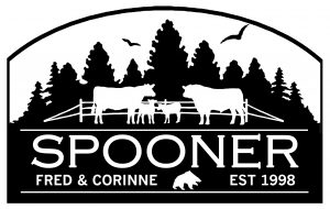 spooner-49x31